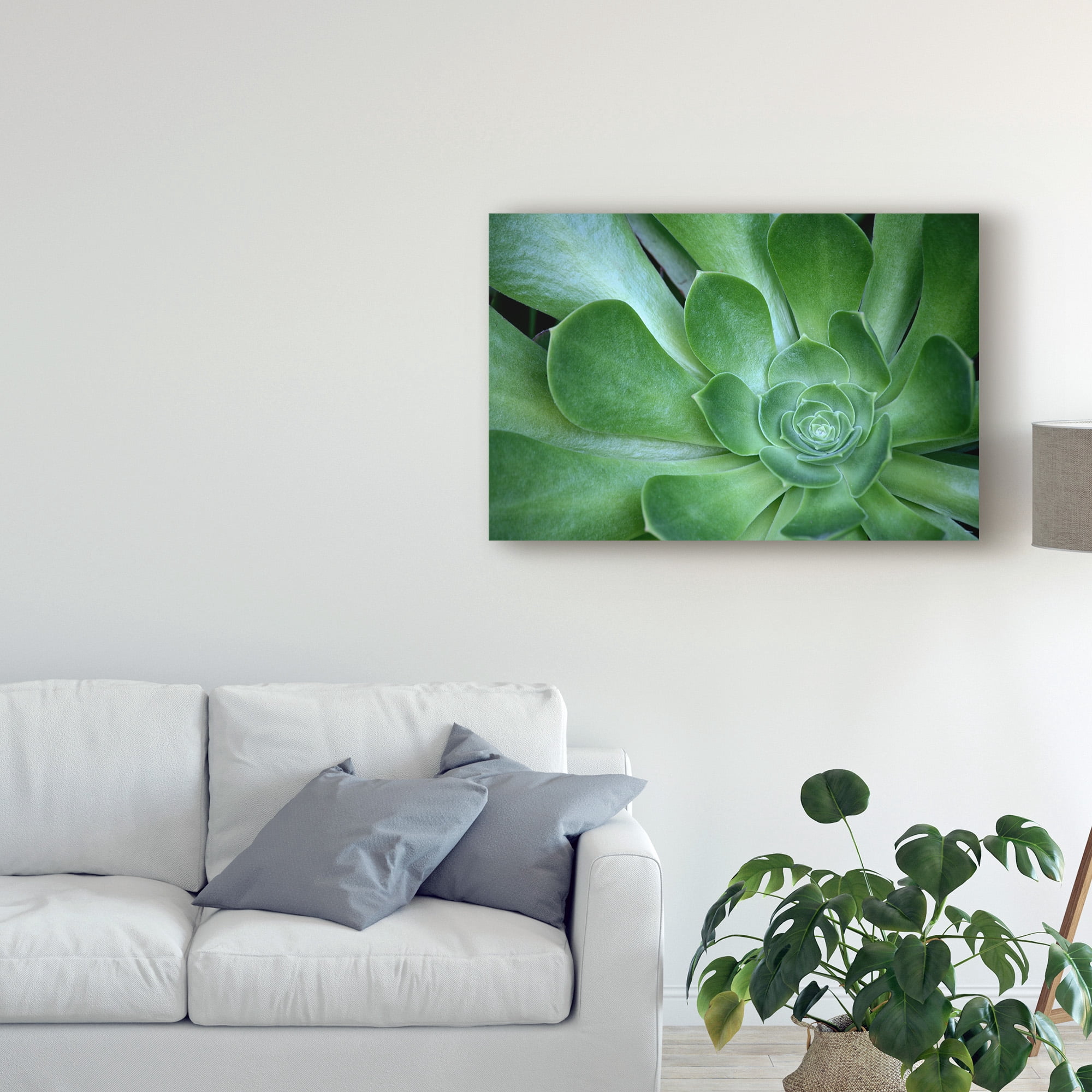 Trademark Fine Art 'Succulent Up Close' Canvas Art by American School