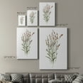 thumbnail image 4 of Dainty Botanical II Premium Gallery Wrapped Canvas - Ready to Hang, 4 of 9