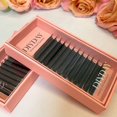 thumbnail image 3 of DIYDAY W Shape Eyelashes Extensions W Shaped Bloom 3d 4d 5d 6d 7d 8d Eye Lashes Natural Soft Premade Fan Lash Extensions, 3 of 5