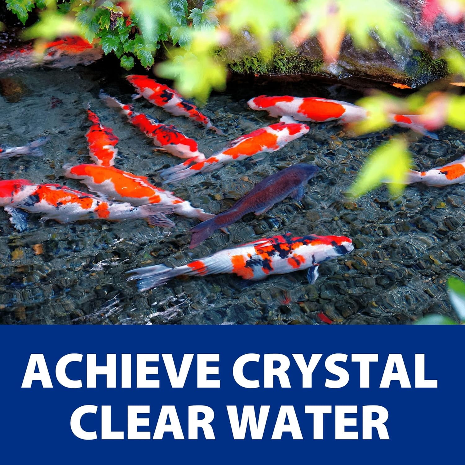 The Pond Guy AllClear G2 Pressure Filter & Ultraviolet Light Clarifier - Thumbnail 4