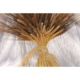 thumbnail image 2 of Case of 10, Large Dried Blackbeard Wheat Bunch Long Stem 18-24 Inch for Home, Event or Creative Project, 2 of 3