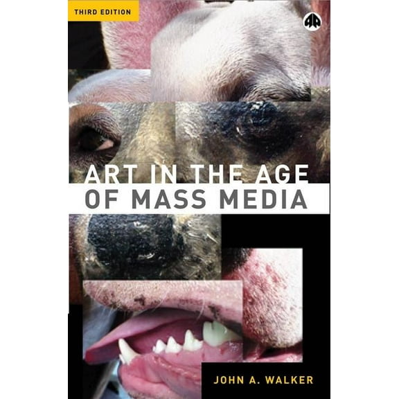 Art in the Age of Mass Media (Paperback)