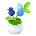 thumbnail image 2 of Puntoco Adornos En Maceta De Arándanos De La Serie De Frutas Tejidas A Mano, Decoración Del Hogar, 2 of 5