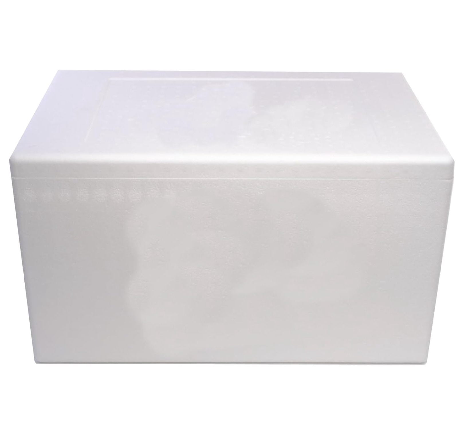 Styrofoam Cooler, Ice Chest (47qt), Inside: 21 x 13 x 11 (inches) Outside: 24 x 16 x 13 (inches)