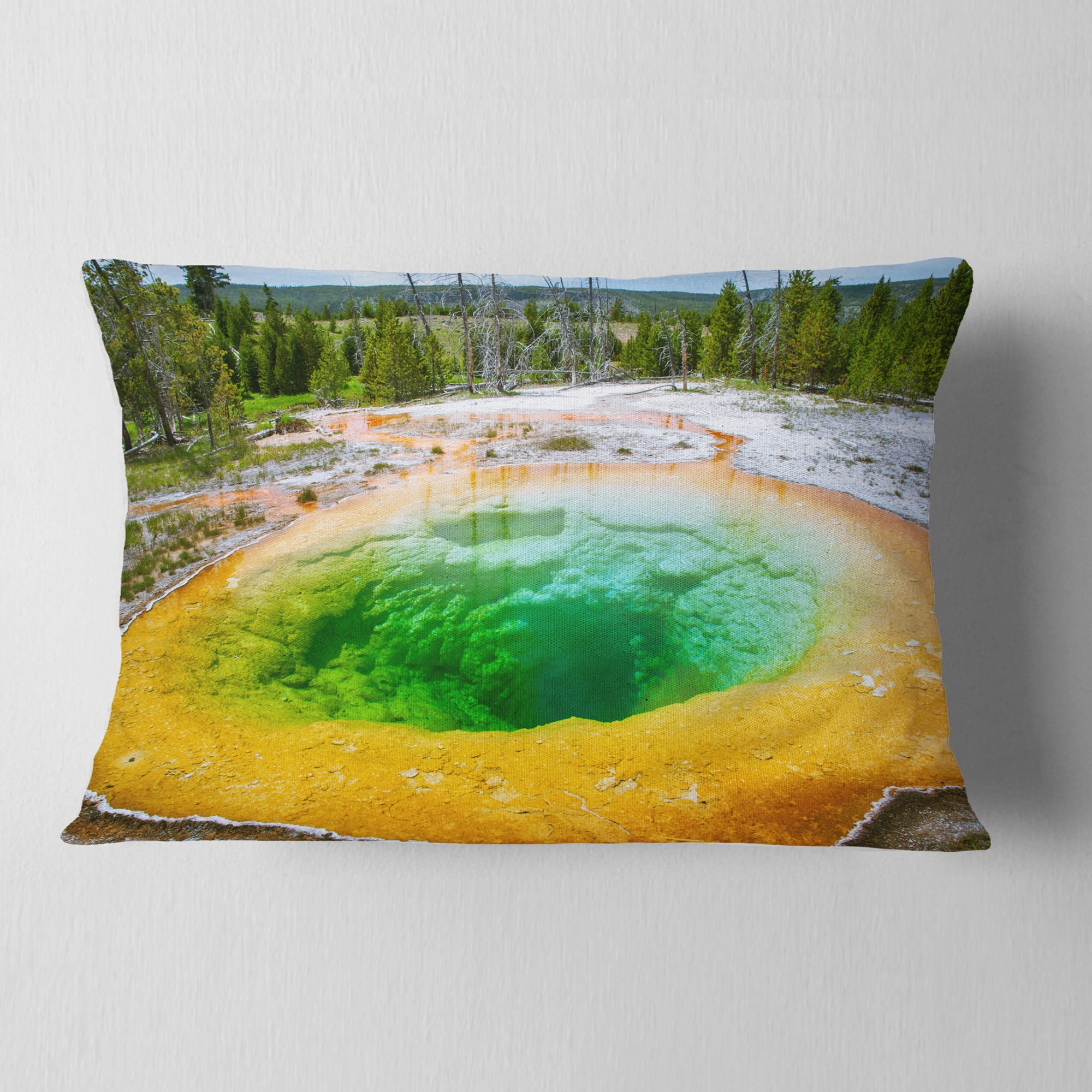 Designart Bright Morning Glory Pool - Landscape Photo Throw Pillow - 12x20