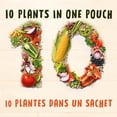 thumbnail image 3 of BEN'S ORIGINAL 10 Medley Smoky Southwest Style Rice Side Dish, 240g Pouch, 3 of 7