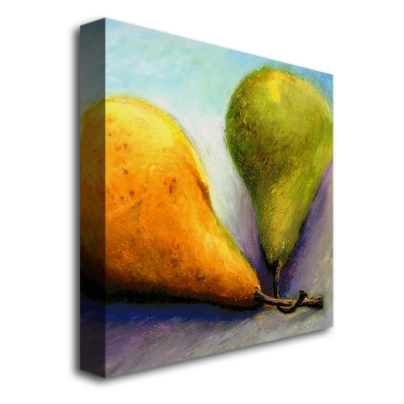 Trademark Fine Art "Stems" Canvas Art by Michelle Calkins
