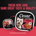 thumbnail image 5 of (24 pack) Cesar Loaf & Topper Angus Beef Flavor With Bacon & Cheese Wet Dog Food, 3.5 Oz Tray, 5 of 16