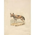 thumbnail image 3 of Samuel Howitt 19x24 Black Modern Framed Museum Art Print Titled - Abyssinian Dog (ca. 1813), 3 of 5