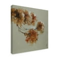 thumbnail image 2 of Trademark Fine Art 'Rusty Spring Blossoms I' Canvas Art by Anne Farrall Doyle, 2 of 4