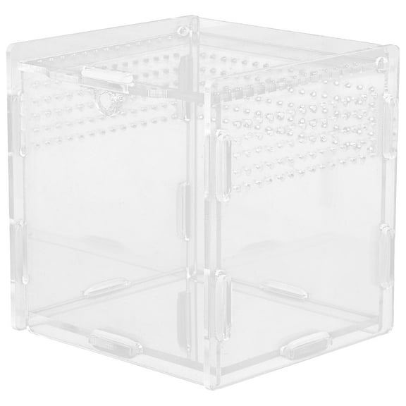 Luxshiny Acrylic Reptile Feeding Container with Ventilation Holes, Ideal for Spiders, Geckos, and Small Pets