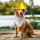thumbnail image 5 of Laklulu 2 piezas de sombreros de vaquero para perros con cachorros ajustables, sombrero de vaquero para mascotas, gatos, disfraz occidental, fiesta navideña, 5 of 5