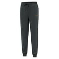 thumbnail image 2 of Men's Antigua Heather Charcoal Minnesota Wild Idol Jogger Pants, 2 of 3