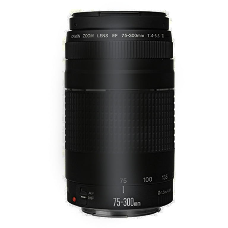 Canon EF-S 18-55mm f/3.5-5.6 STM SLR Lens & Canon EF 75