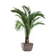 thumbnail image 2 of Pegatinas de pared de plantas en 3D, pegatinas de pared de plantas en macetas, pegatinas de pared de hojas de PVC para la cocina, el, 2 of 9
