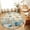Brown, variant on Area Rugs 3'x5', Teal Coastal Carpet Runner Indoor Outdoor Rugs Home Decor Aesthetic, Summer Beach Starfish Shell Coral Nautical Non Slip Mats Washable Accent Rug for Living Room Bedroom