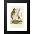 thumbnail image 2 of Alfred Malherbe 13x18 Black Modern Framed Museum Art Print Titled - Monograph of Picidae Pl12 (1861-1862), 2 of 5