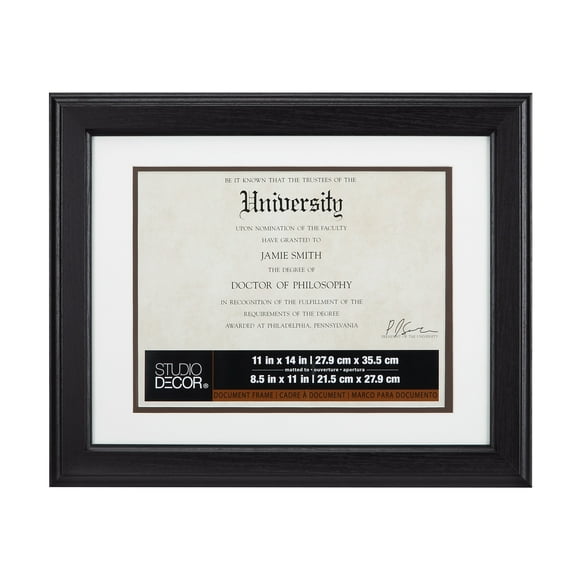 11" x 14" Brown Document Frame with Double Mat by Studio Decor