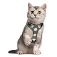 thumbnail image 5 of Pet Vest For Walking With Handle Adjustable Reflective Dog Cat Harness Black &white Polka Dot Designed, 5 of 7