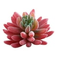 thumbnail image 2 of Fake Succulents Plants Artificial Small Plant 1Pcs Artificial Succulents Plants Faux Plastic Succulents Mini Fake Plants Realistic Artificial Fake Plants, 2 of 4