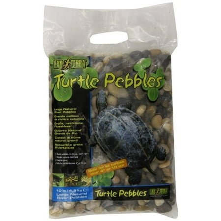 Exo Terra Turtle Pebbles, Large, 2 ct 10 lb bags (Best Turtle Tank Substrate)