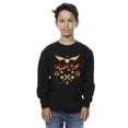 thumbnail image 2 of Harry Potter Boys Quidditch Golden Snitch Sweatshirt, 2 of 3