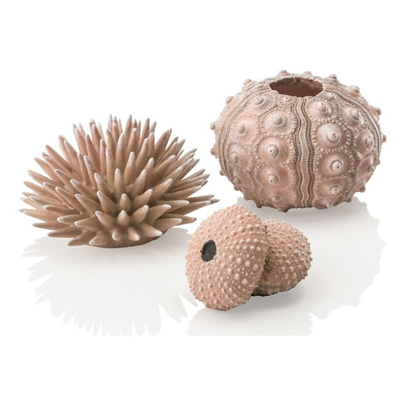 biOrb Aquarium Décor Sea Urchins Set of 3 - Ceramic, Natural