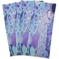 thumbnail image 2 of GZHJMY Colorful Bubbles Kitchen Towels 18x28inch Ultra Soft Absorbent Quick Drying Kitchen Dish Towels Washable Cleaning Cloths Hand Towels Tea and Bar Towels, 4 Pack, 2 of 7