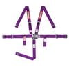 thumbnail image 2 of Racequip 709059RQP 5 Point Harness Latch and Link SFI 16.2 Pull Up Adjust Purple, 2 of 7