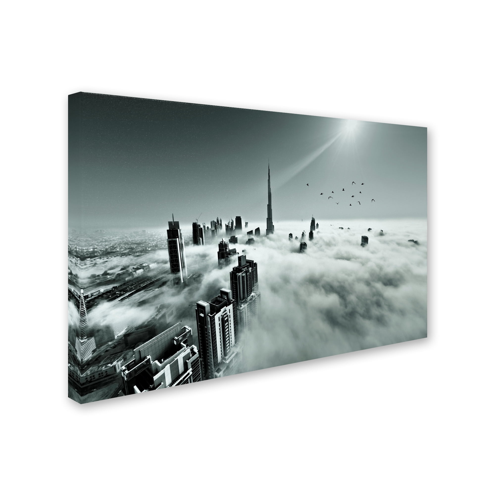Trademark Fine Art 'Up Up And Above' Canvas Art by Naufal