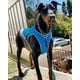 thumbnail image 5 of Chaleco refrigerante para perros. Chaqueta ligera con tecnología de microfibra fría evaporativa, camiseta con protección UV, talla pequeña y mediana (L, azul), 5 of 5