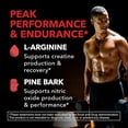 thumbnail image 5 of Havasu Nutrition L-Arginine Capsules with Pine Bark Extract, Nitric Oxide Supplement, 1800mg, 90 Count, 5 of 10