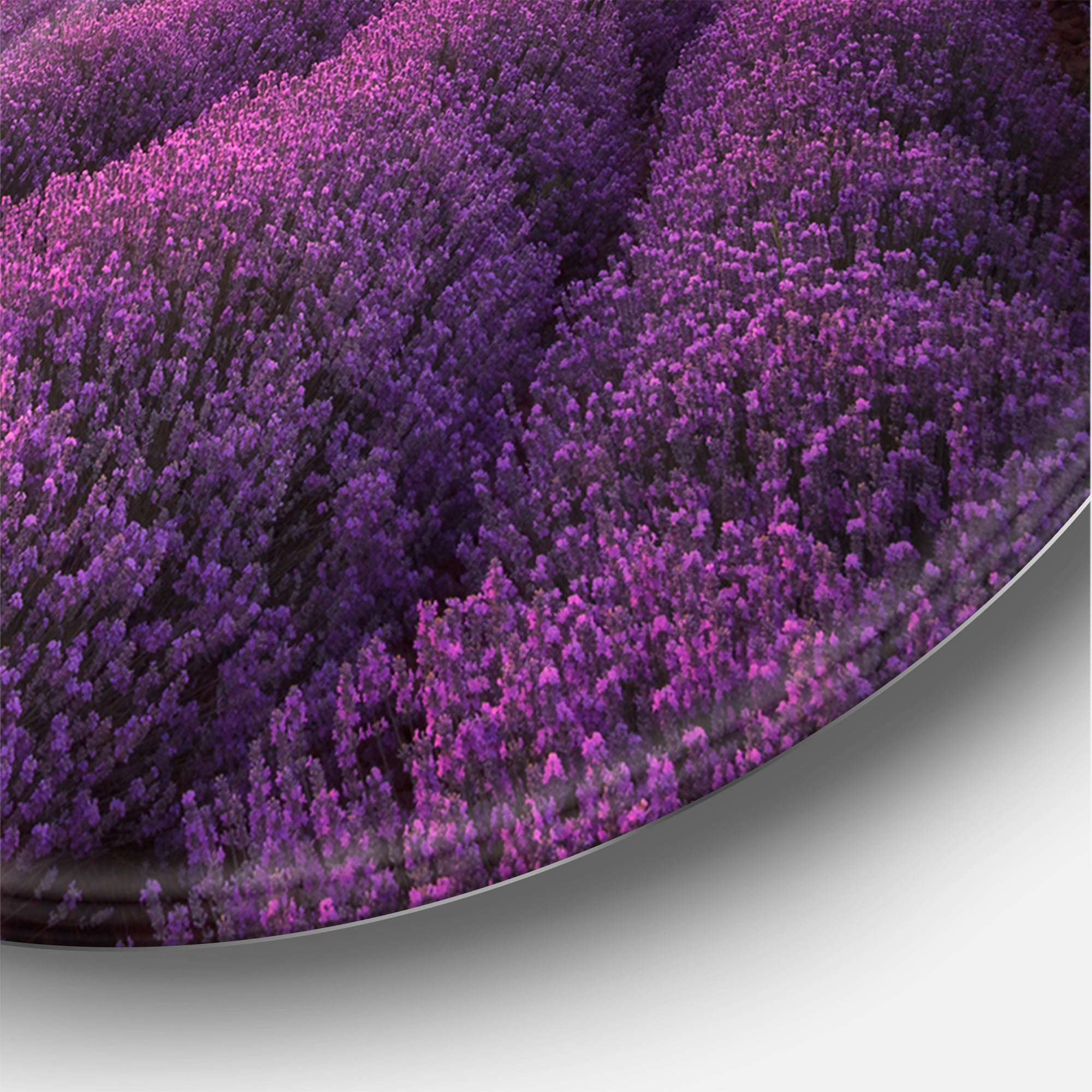 Designart 'Dramatic Clouds and Sunrise Over Lavender Field XII' Farmhouse Circle Metal Wall Art 29x29 - Disc of 29