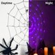 thumbnail image 3 of Halloween Spider Web Lights Decoración 60LED Light up Black Spider Web Impermeable Naranja Luces para Party Yard Bar Haunted House Window Decor Kits de decoración para fiestas luz amarilla Billuyoard HA045712-01, 3 of 6