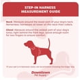 thumbnail image 3 of shiyou-Step in Dog Harness No Pull, X-Large, Light Blue - Adjustable Harness with Padded Mesh Fabric and Reflective Trim - Buckle Strap Harness for Dogs, 3 of 4