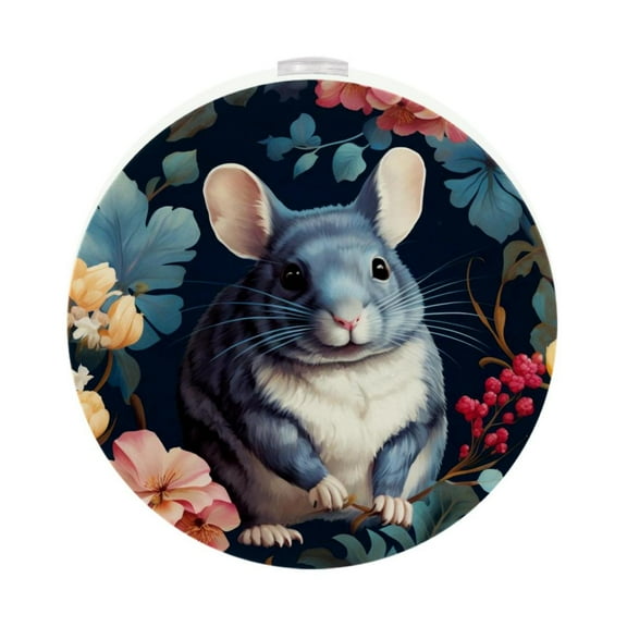 Totoro LED Round Night Light-2PCS, Plug-in Dusk to Dawn Sensor Wall Light, Energy Efficient Lamp for Bedroom, Hallway, Stairs, White Glow, Set of 2