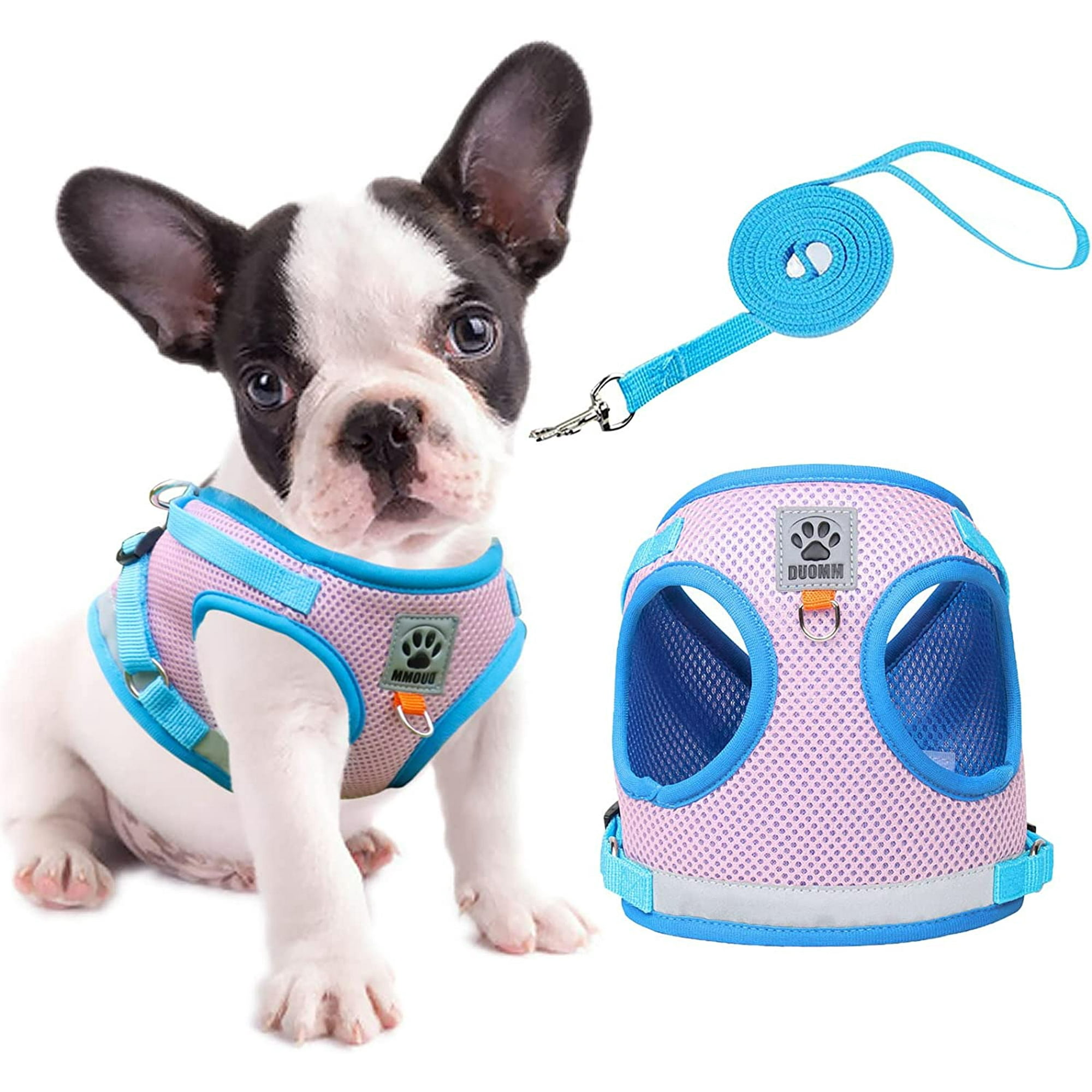 Dog harness for small dog online