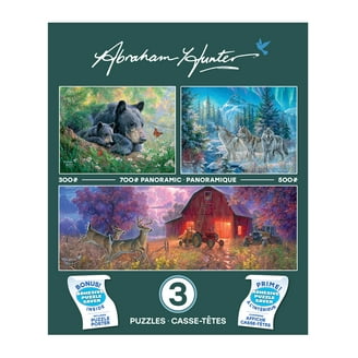 Ceaco Disney 3 in 1 Classic Multipack Jigsaw Puzzle - Walmart.com