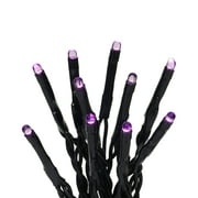 Way to Celebrate Halloween 20-Count Battery-Operated Indoor Outdoor 8-Function Purple LED Micro, with Timer