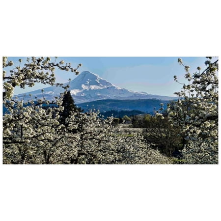 "Pear Blossom Majesty" Painting Print on Canvas