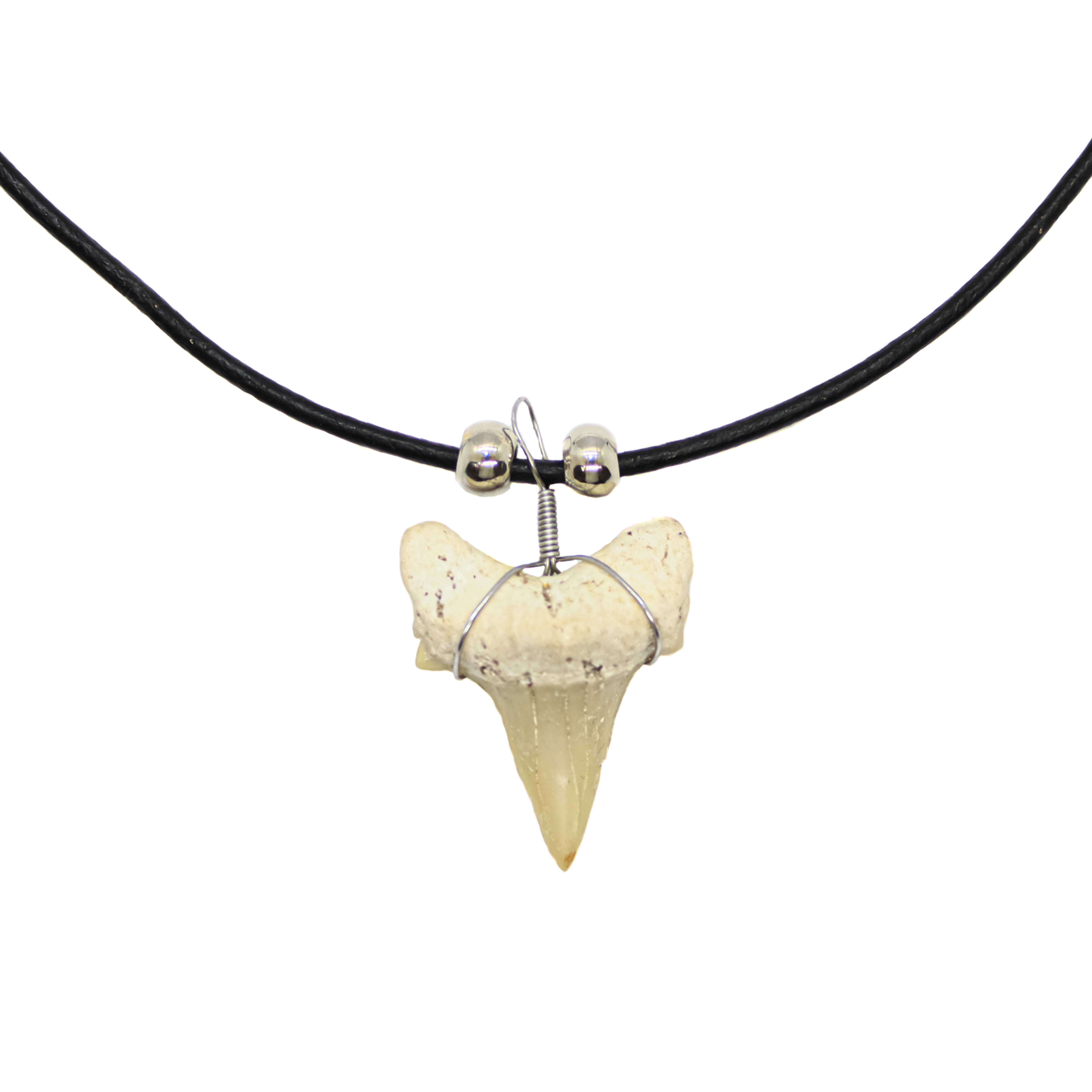 Orange Bead Adjustable Shark Tooth Necklace Fossil Teeth Black Band Jewelry 