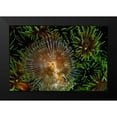 thumbnail image 2 of Factor, Beverly 24x17 Black Modern Framed Museum Art Print Titled - Enchanting - Indonesia, 2 of 5