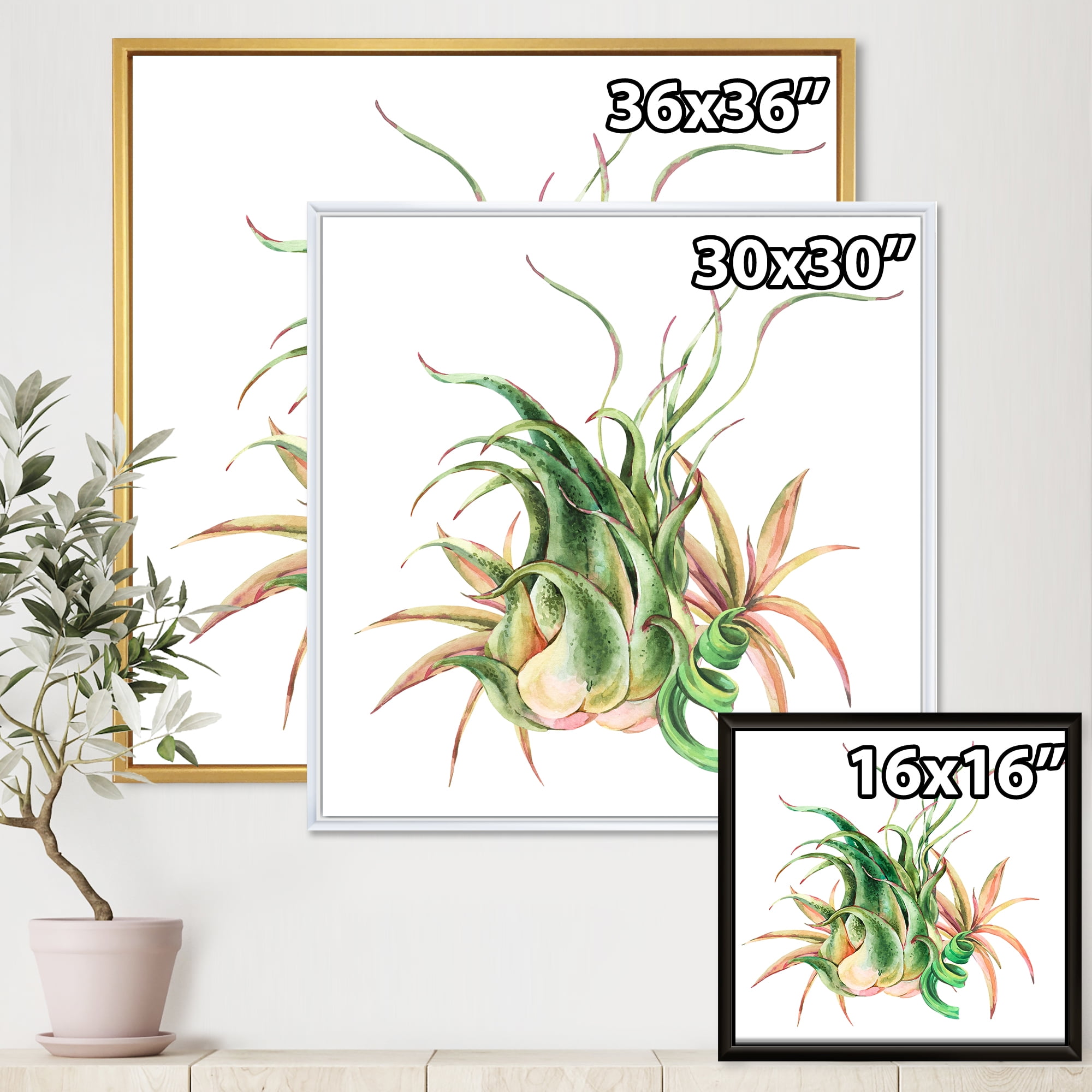 Designart 'Tropical Leaves Air Plant Succulent On White' Farmhouse Framed Canvas Wall Art Print