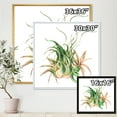 thumbnail image 4 of Designart 'Tropical Leaves Air Plant Succulent On White' Farmhouse Framed Canvas Wall Art Print, 4 of 5