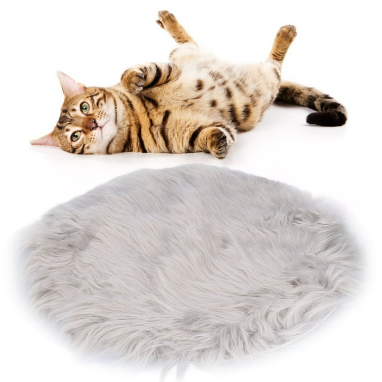 Pet Electric Blanket, Dog Heating Pad Safe For Cats For Puppy Gray -  Walmart.com