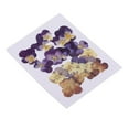 thumbnail image 1 of 20x Pressed Flowers Beautiful Violet Crafts, 1 of 9