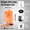 thumbnail image 6 of VOLIVO Himalayan Salt Lamp, 16 Colors LED Remote Control Salt Rock Lamp, Natural Salt Lamps Night Lights for Bedroom, Livingroom, 6 of 7