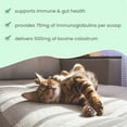 thumbnail image 4 of Bark & Whiskers&nbsp;New Zealand Colostrum, 90 scoops, Supports Gut and Immune Health, Non-GMO, 4 of 6