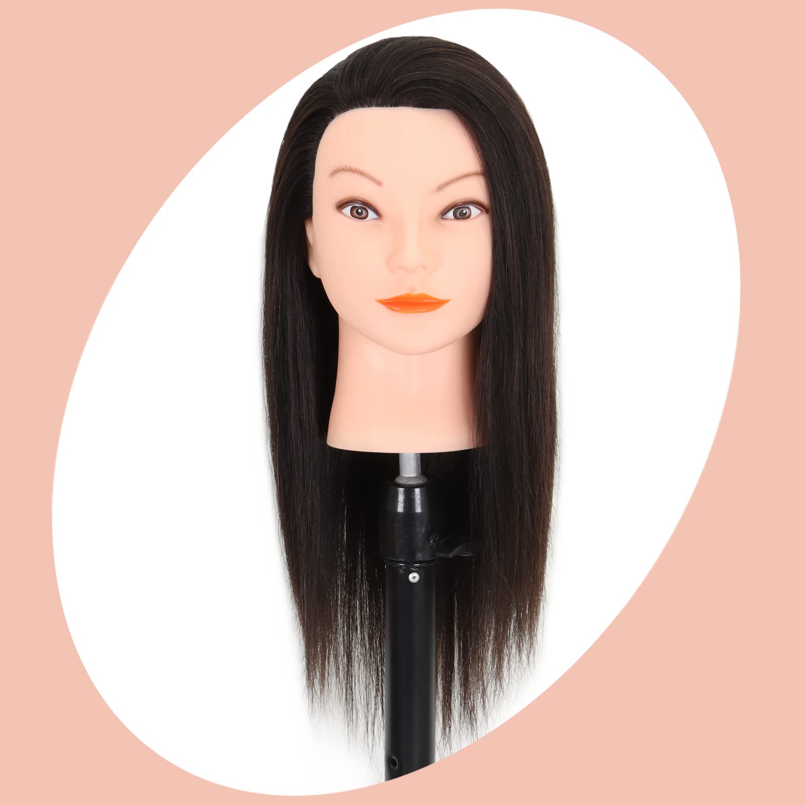 Mannequin Head with Human Hair for Styling 20 Inch Manikin Practice Head  for Braiding Training styling Head Brown Color Besstown : : Beauty