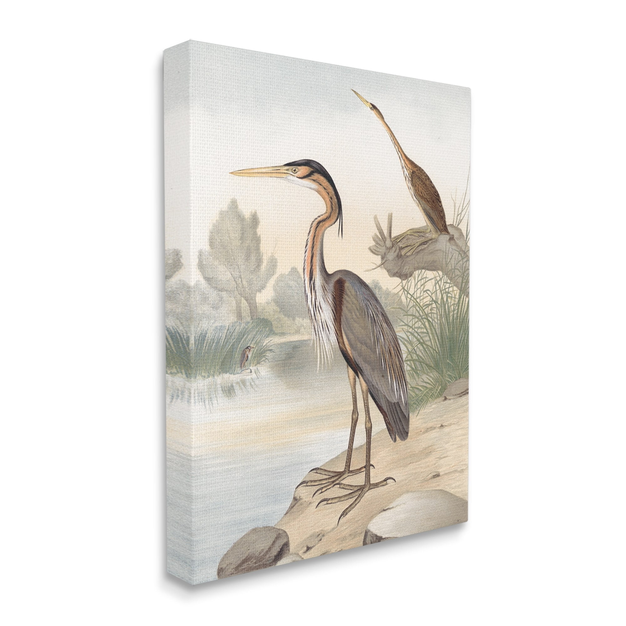 Stupell Industries Wild Heron Birds Perched Scenic Grassy Creek Painting Gallery Wrapped Canvas Print Wall Art, Design by Piddix